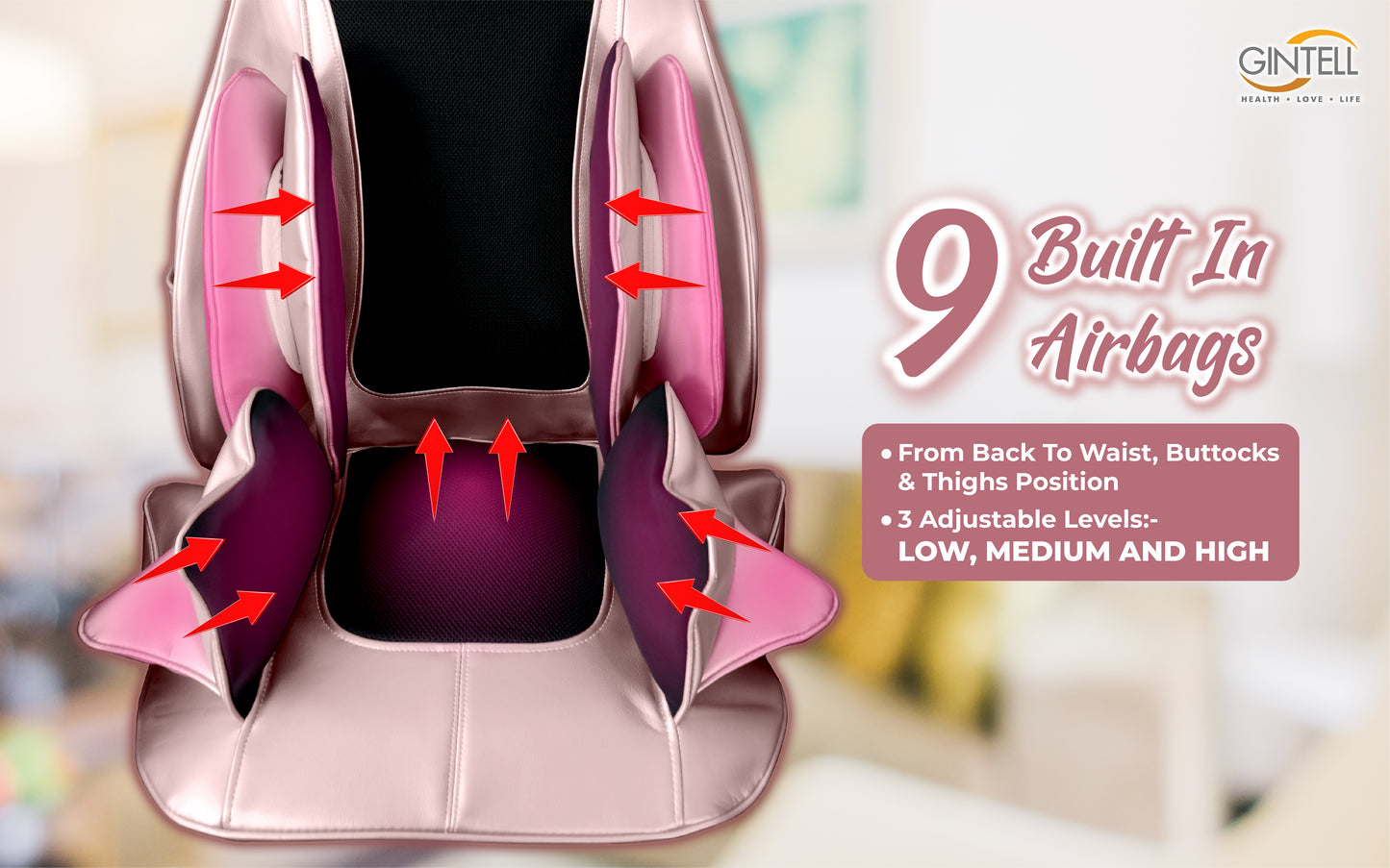GINTELL G-Mobile Plus Massage Cushion